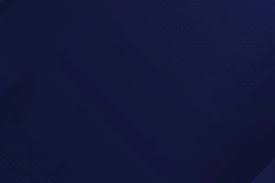 继冈崎慎司之后，三笘薰是第二位英超对曼城进球的日本球员