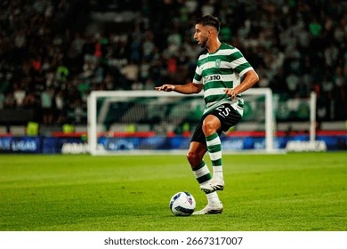 “东北超”今年5月正式开赛